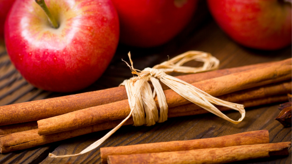 Apple Cinnamon Energy Bites-blog-image