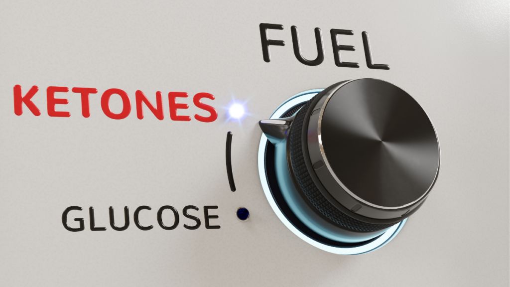 Ketones: Your Fat Burning Friends-blog-image